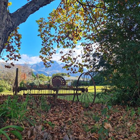 Swallowfield Rondavels Champagne Valley Esterno foto