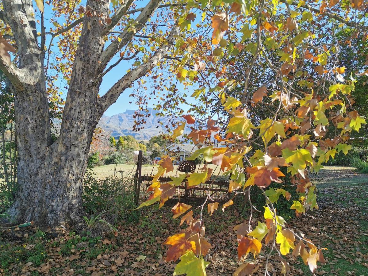 Swallowfield Rondavels Champagne Valley Esterno foto